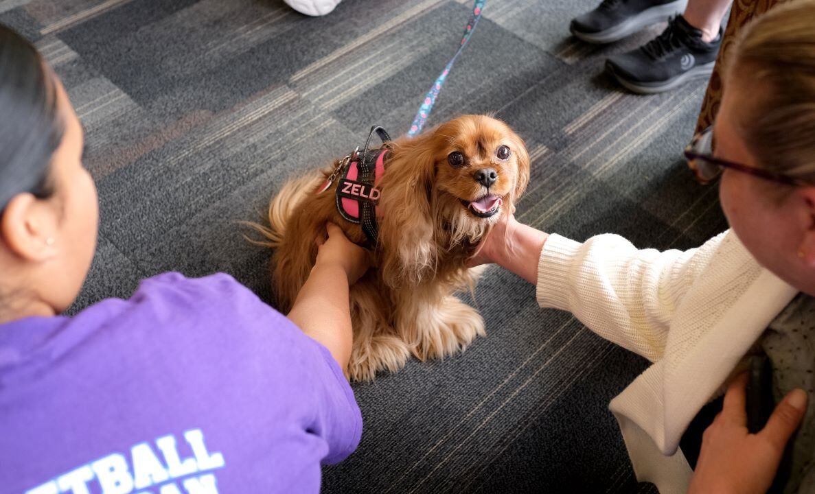 Image_035-Sep-18-2024-01-20-47-2733-PM