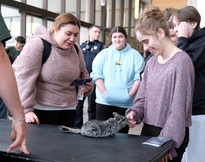 Image_036-Dec-04-2025-01-38-41-4770-PM