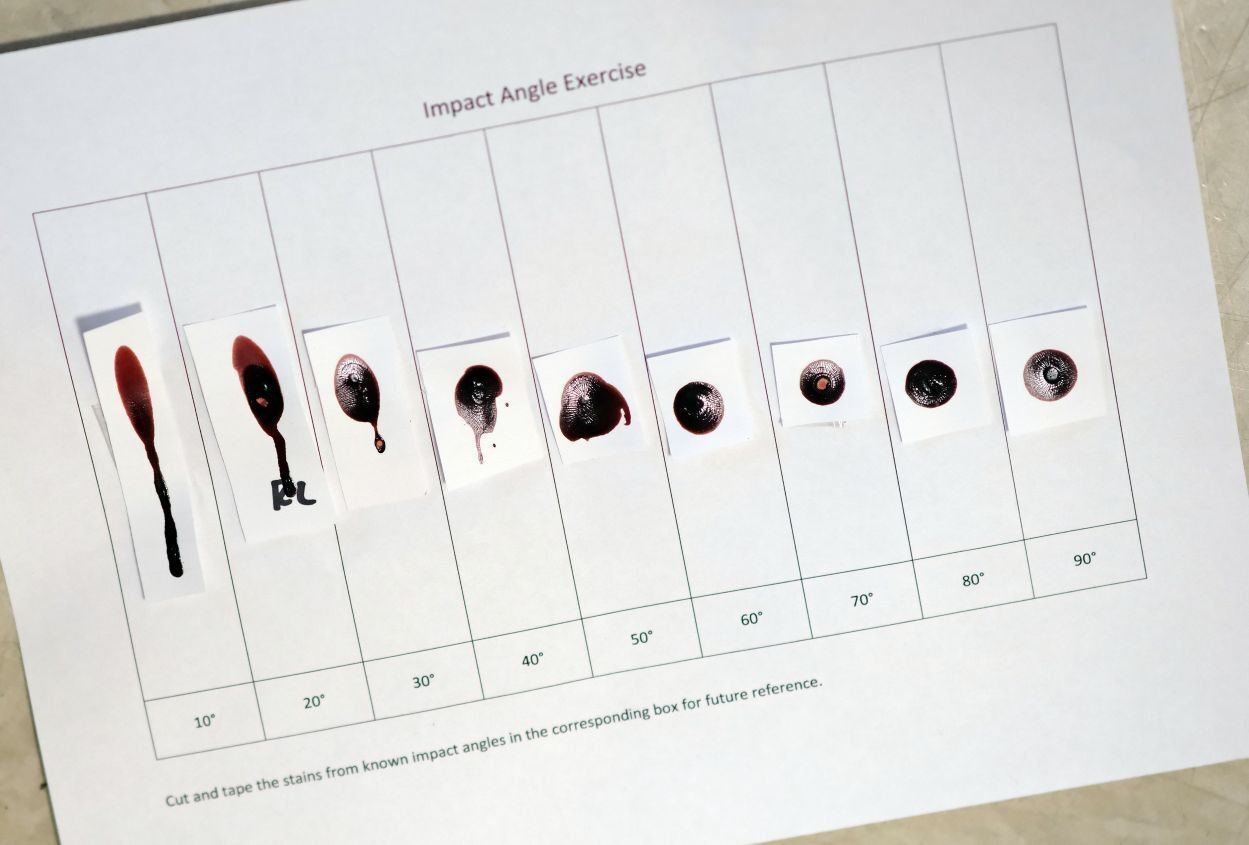 Image_036-Mar-26-2026-03-42-58-1071-PM