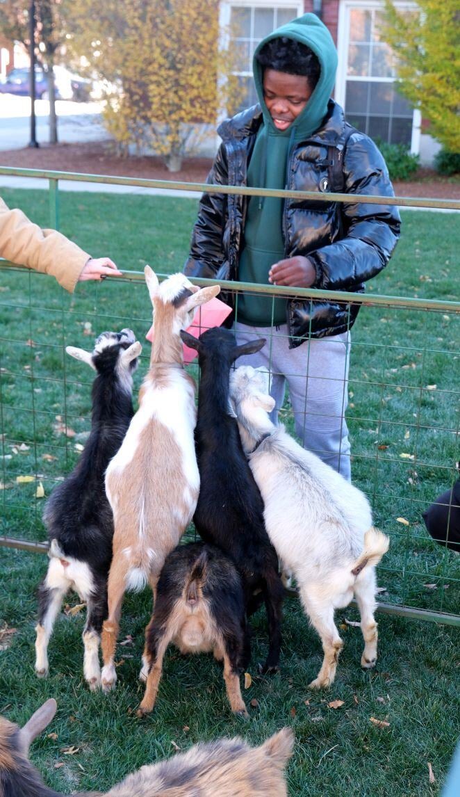 Image_036-Nov-13-2024-08-08-26-4247-PM