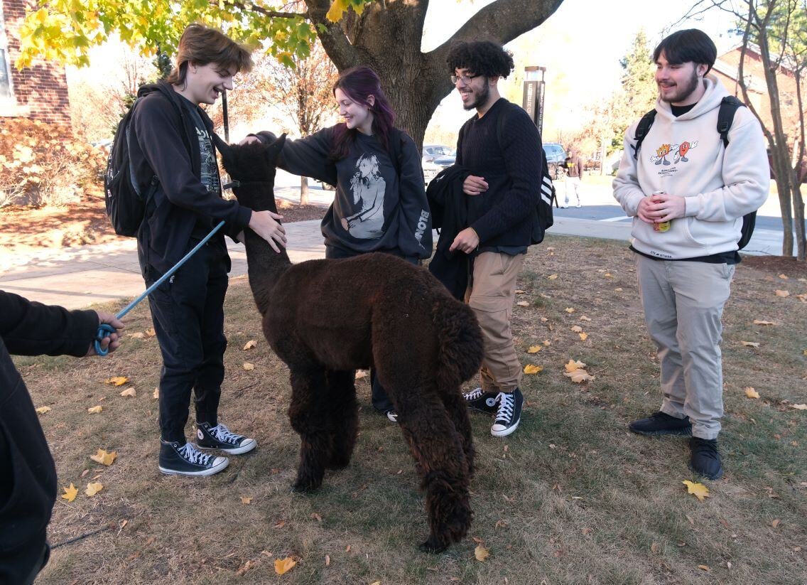 Image_037-Nov-13-2024-08-08-26-4835-PM