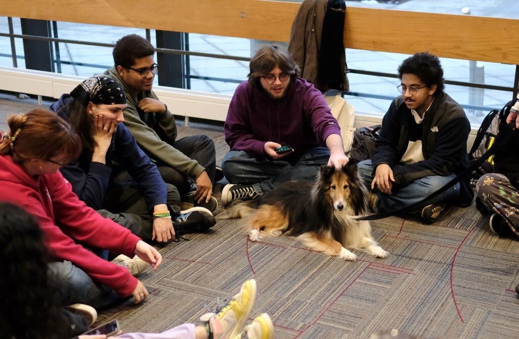 Image_038-Dec-11-2024-02-53-48-4897-PM