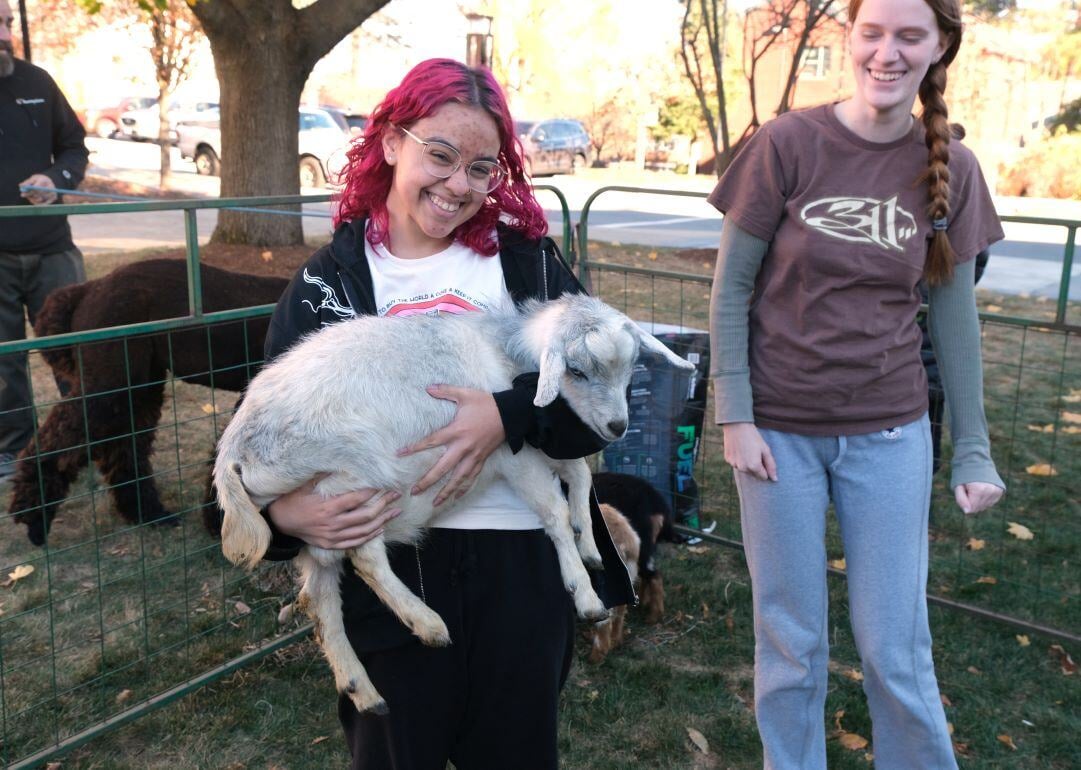 Image_038-Nov-13-2024-08-08-25-7074-PM