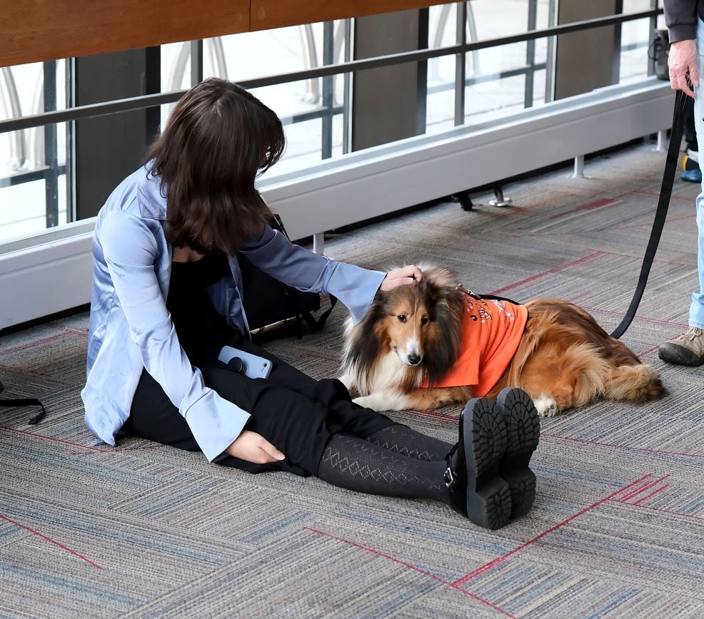 Image_038-Oct-26-2023-12-47-18-3967-PM