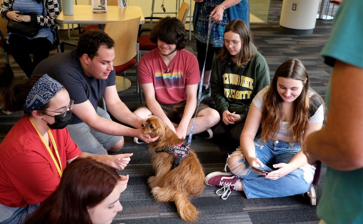 Image_041-Sep-18-2024-01-20-47-4657-PM