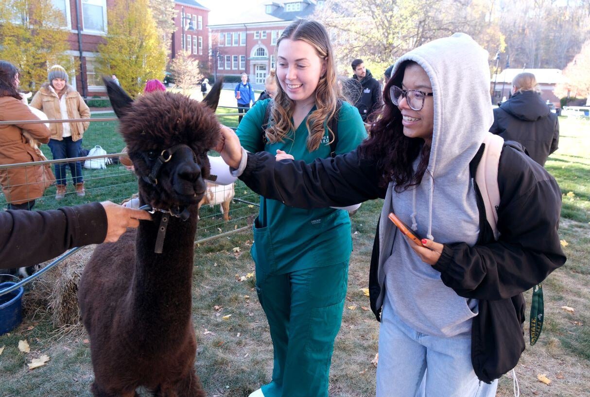 Image_043-Nov-13-2024-08-08-25-7625-PM