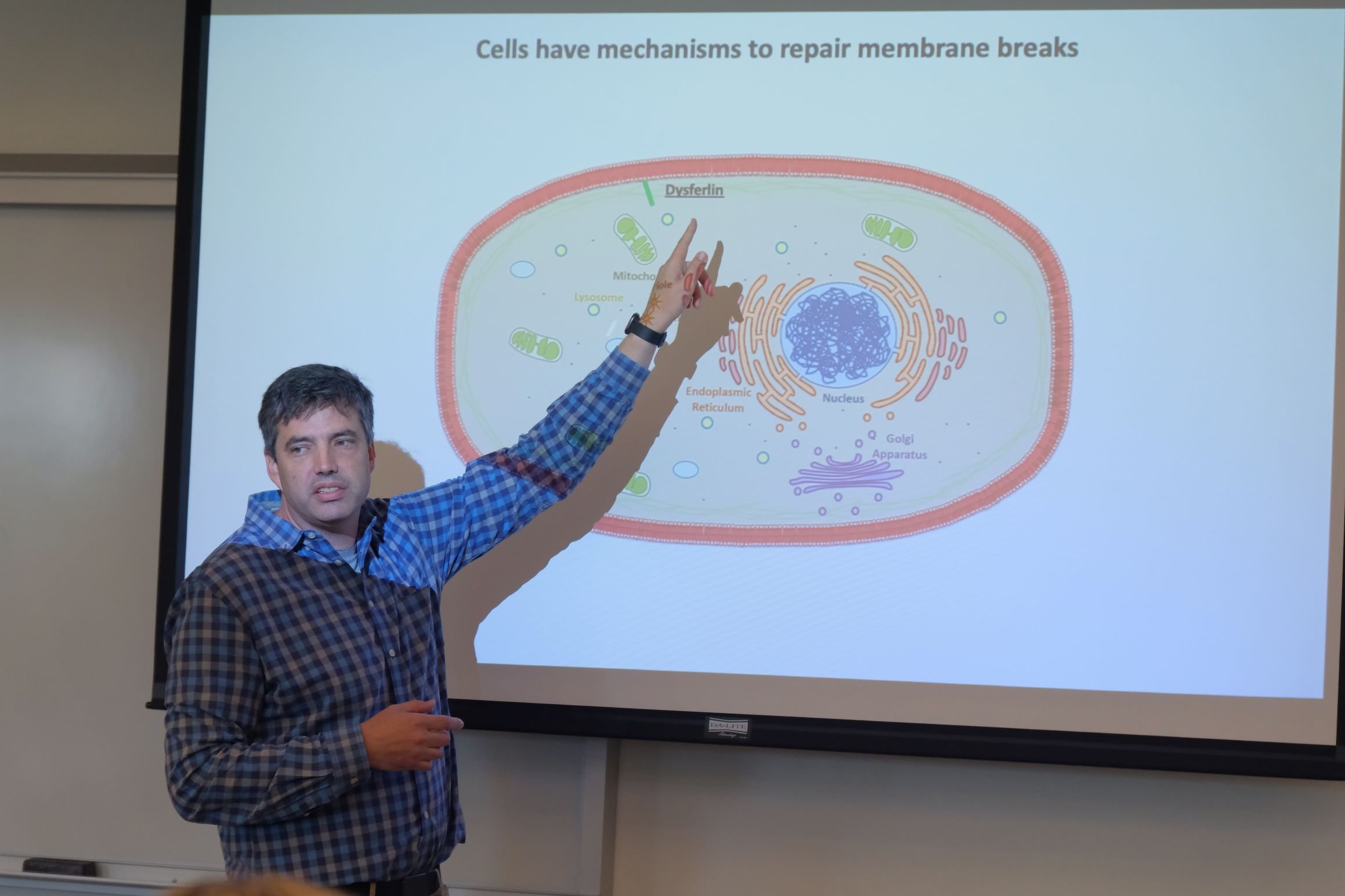 Image_044-Aug-02-2023-07-54-21-4049-PM