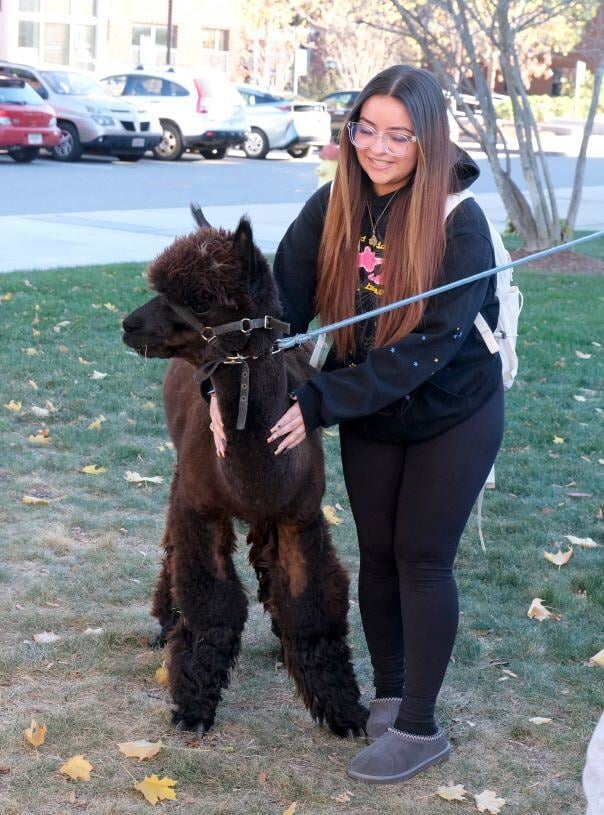 Image_045-Nov-13-2024-08-08-26-5242-PM