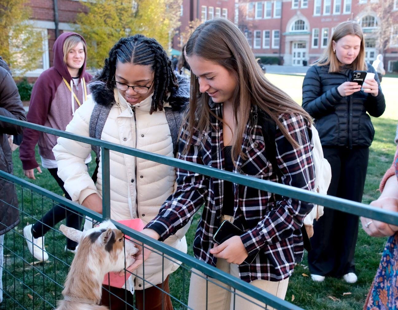 Image_046-Nov-13-2024-08-08-25-8230-PM