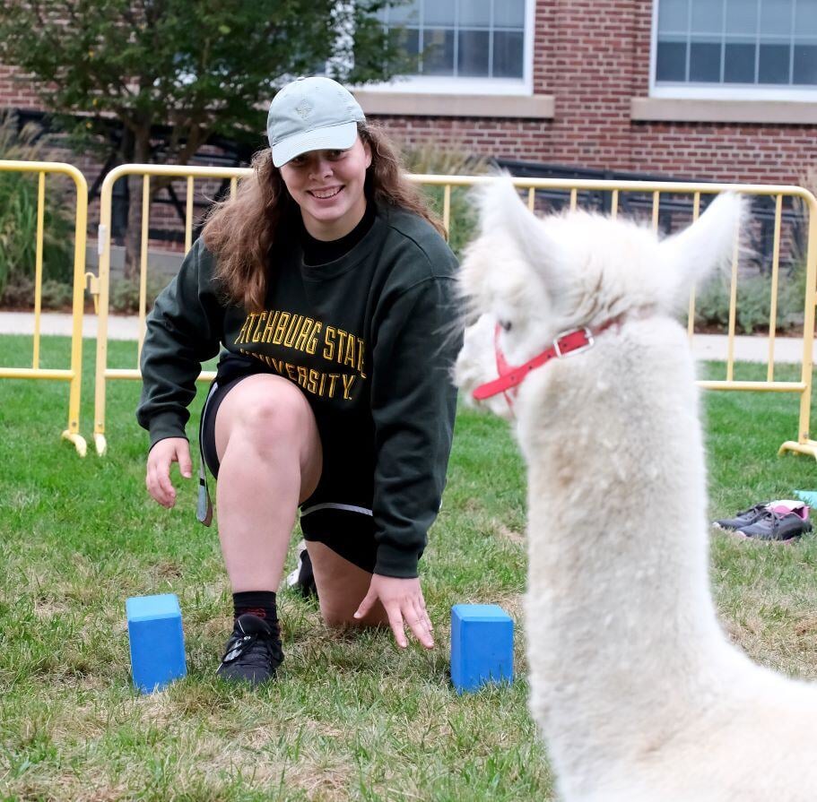 Image_046-Oct-02-2024-06-09-47-2772-PM