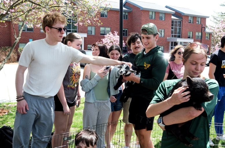 Image_048-Apr-29-2025-06-01-02-2577-PM