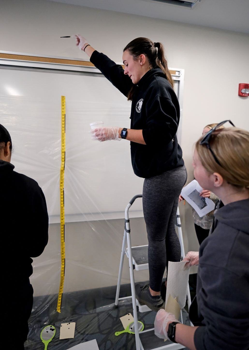 Image_049-Nov-15-2024-06-48-51-8323-PM