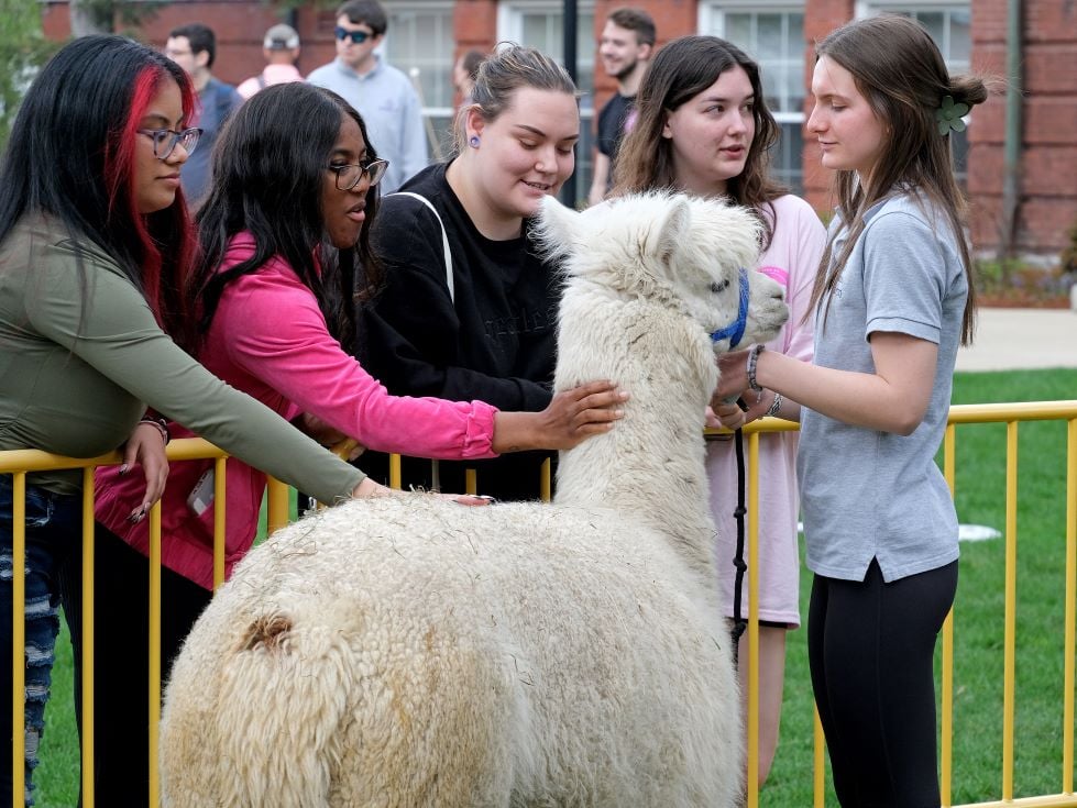 Image_052-May-03-2024-02-57-55-8732-PM