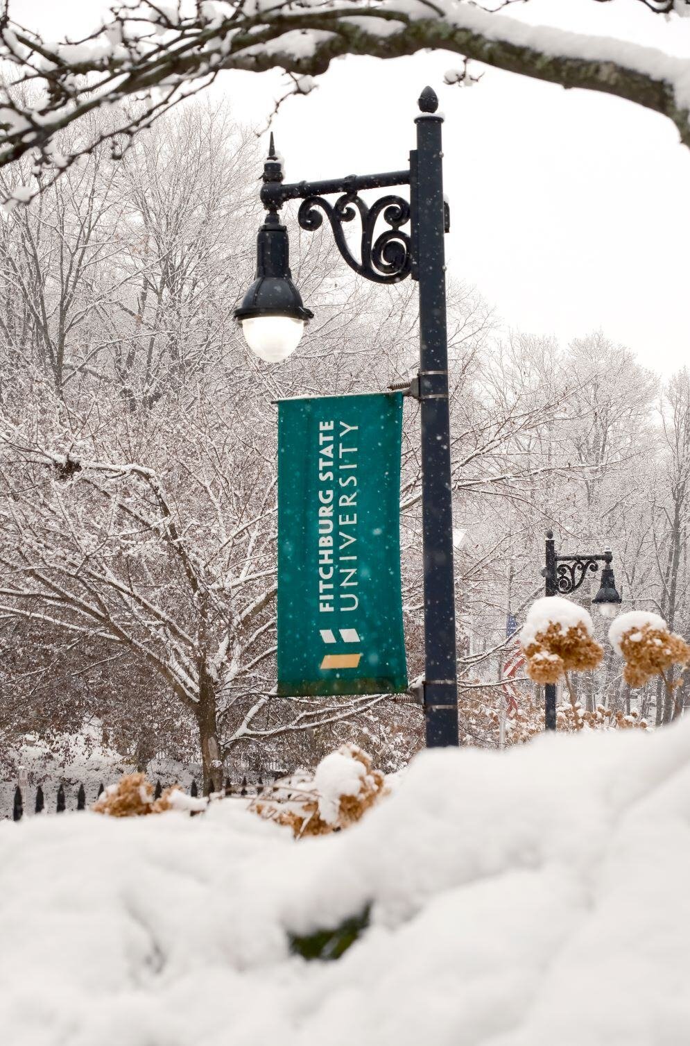 Image_056-Dec-06-2024-05-57-49-0886-PM