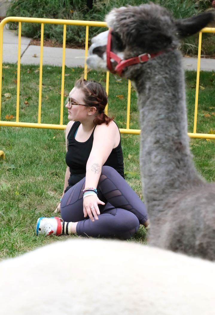 Image_065-Oct-02-2024-06-09-47-0578-PM