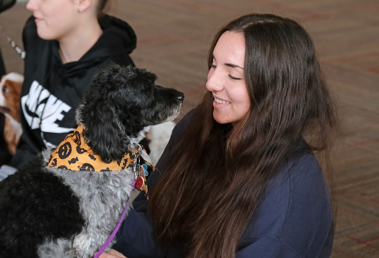 Image_065-Oct-26-2023-12-47-18-3825-PM