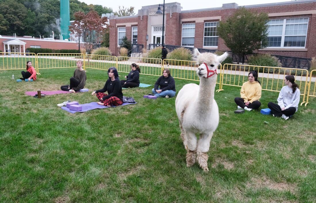 Image_097-Oct-02-2024-06-09-47-4367-PM