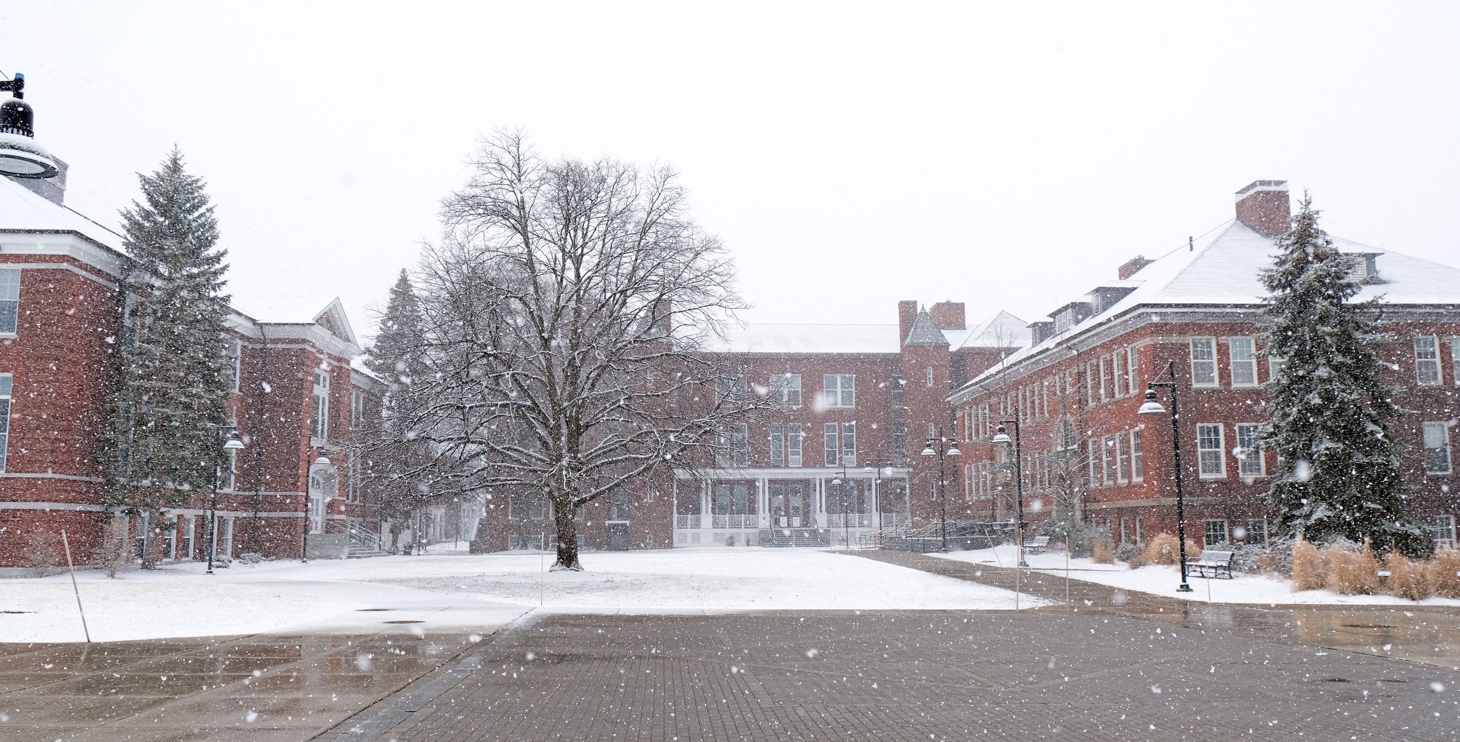 Around Campus - What a Difference a Few Hours Make