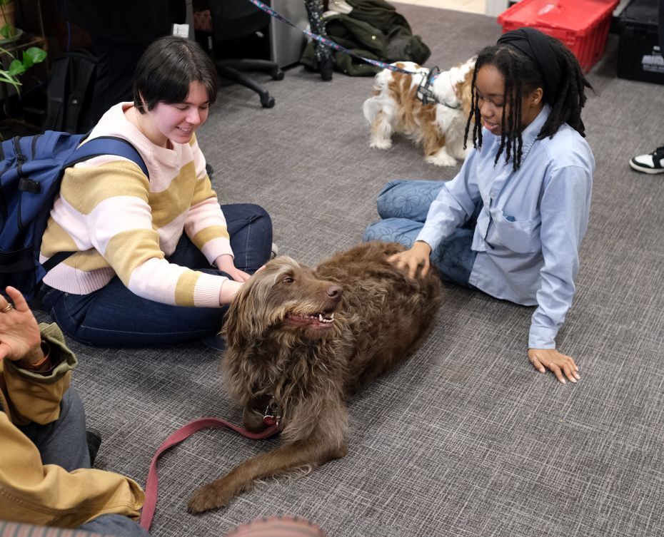 Veterans Services: Dog Day