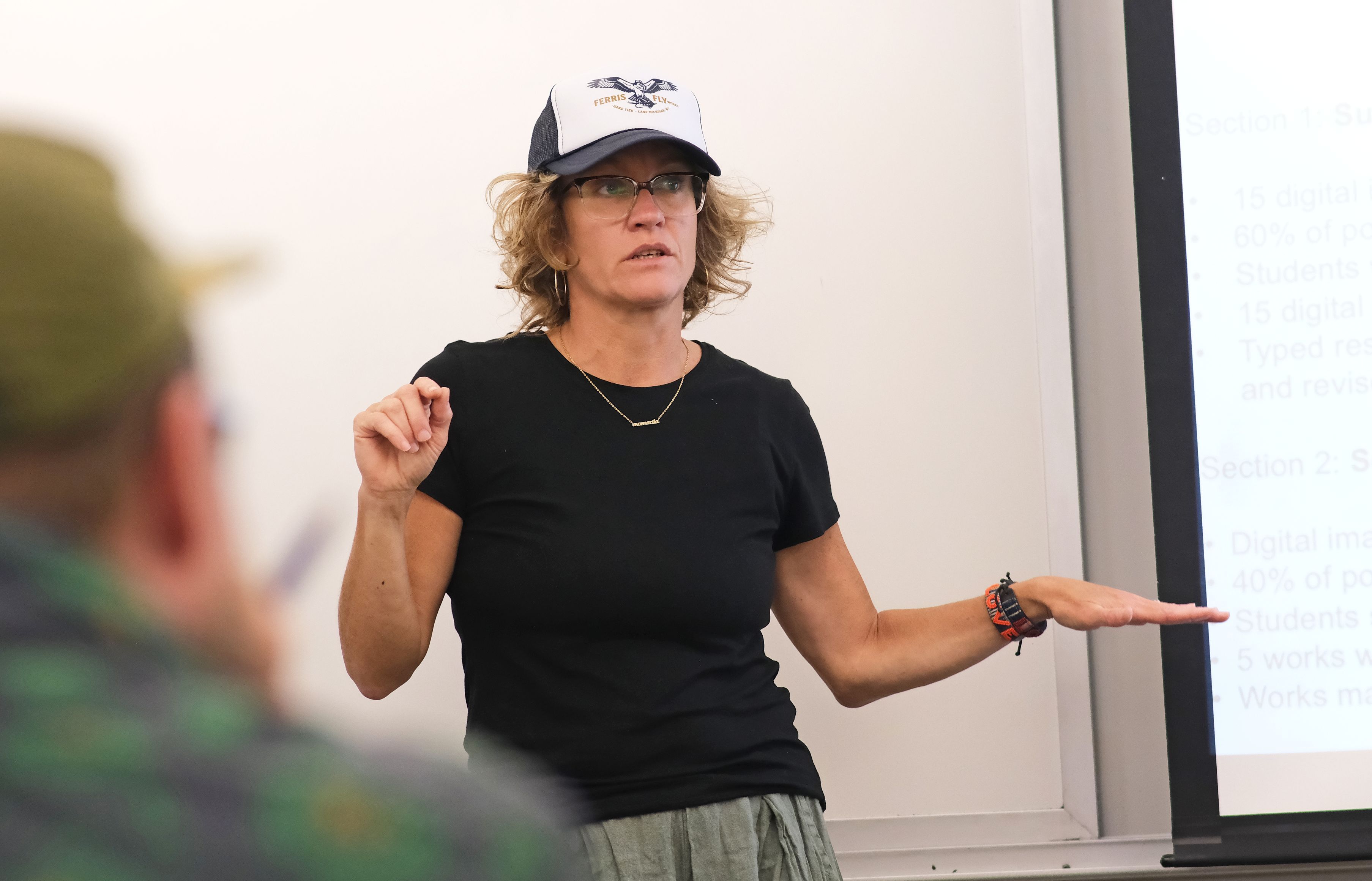Center for Professional Studies' Advanced Placement Summer Institutes (APSI) - AP Arts & Design