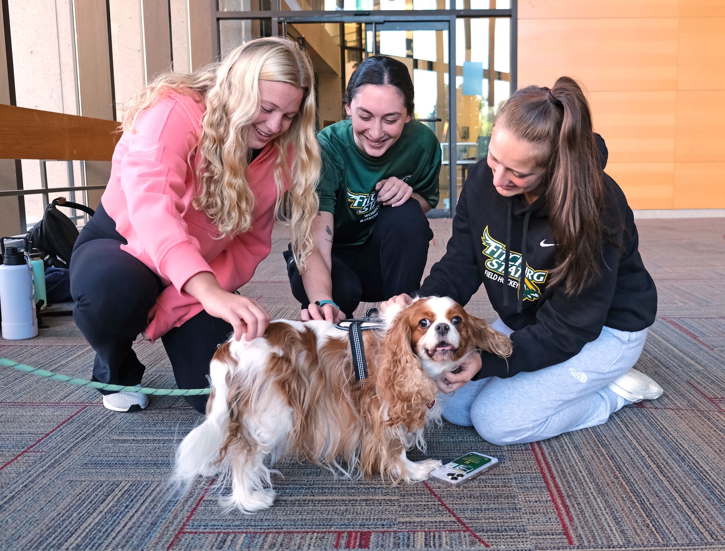Around Campus - Therapy Dogs