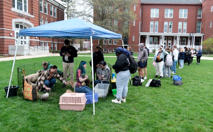 Spring Week 2024 Petting Zoo