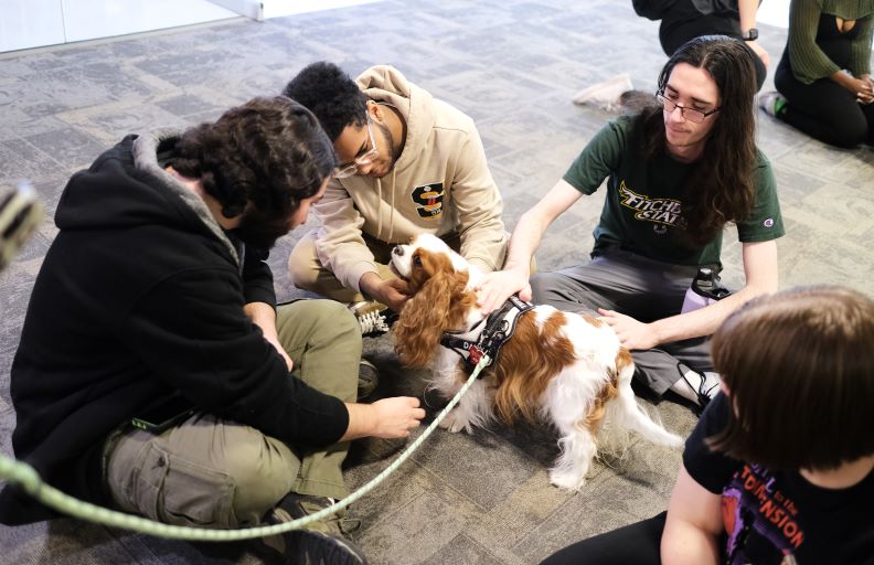 Around Campus - Therapy Dogs in the Falcon Hub