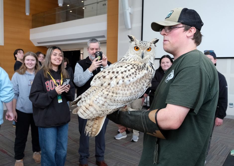 Fitchburg Activities Board (FAB) - Walk on the Wild Side