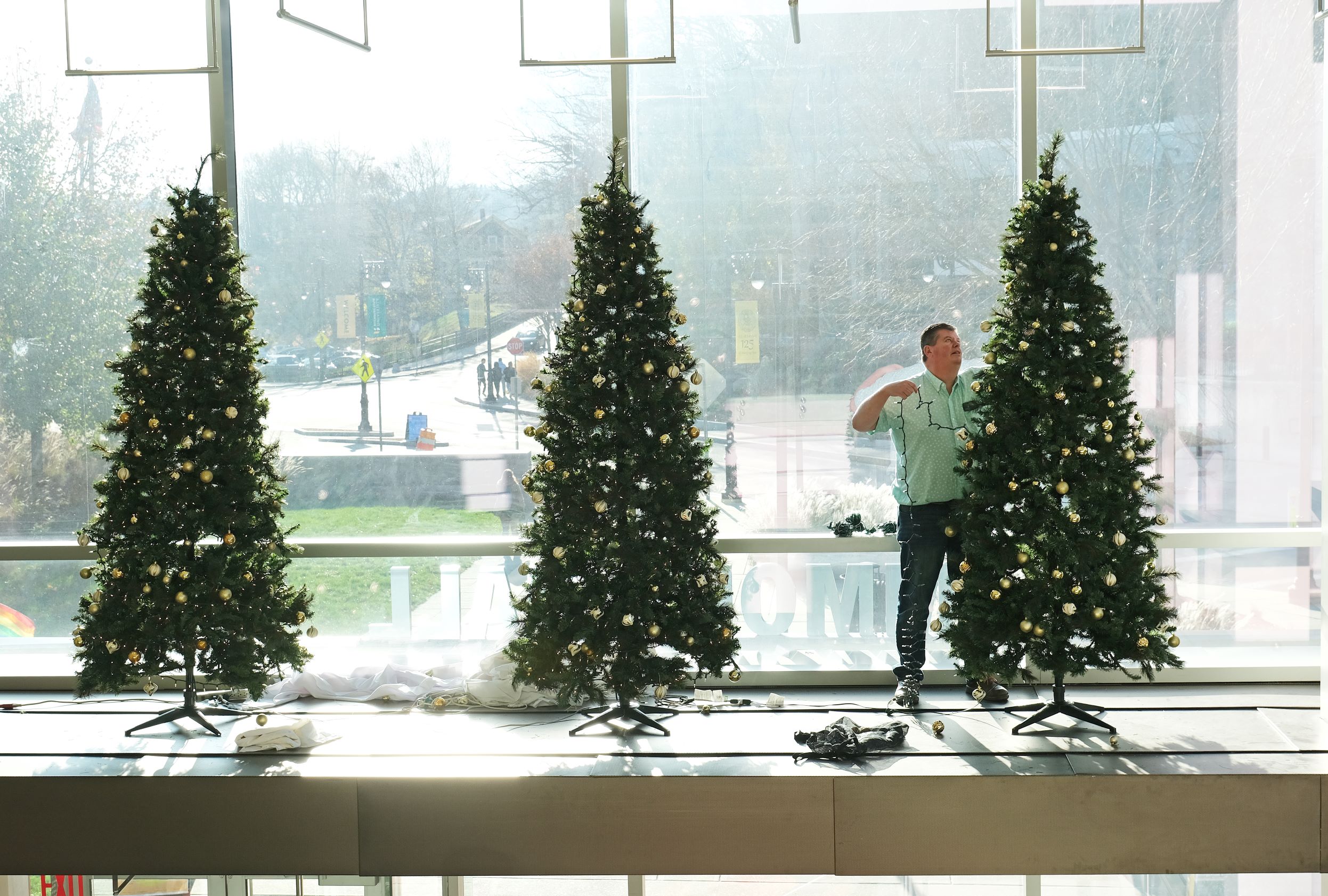 Student Development - Holiday Tree Tradition