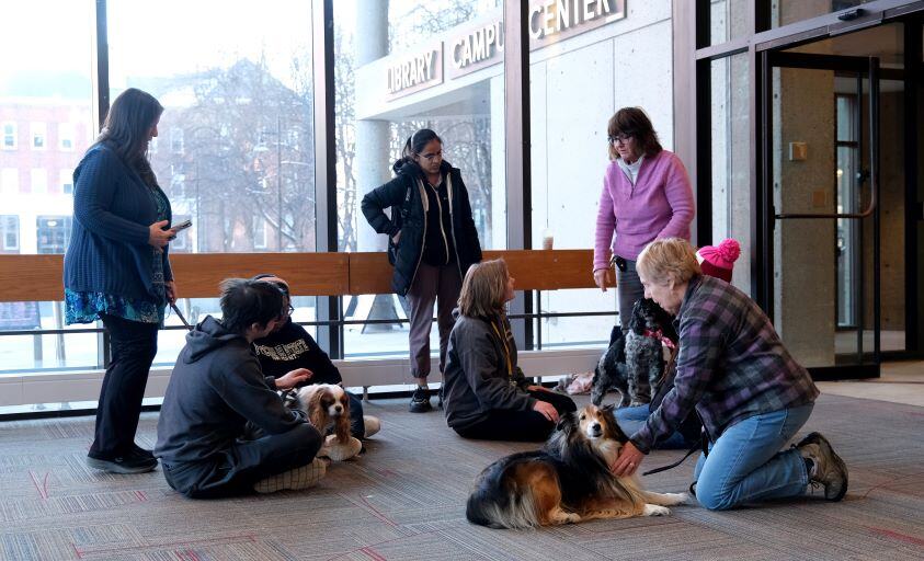 Around Campus - Therapy Dogs