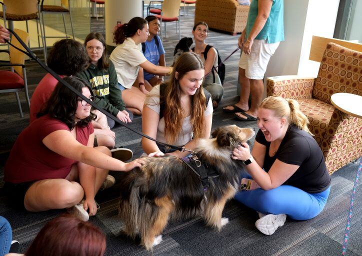 Around Campus - Therapy Dogs in Hammond Tower Lounge