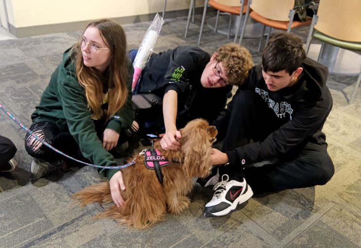 Around Campus - Therapy Dogs in the Falcon Hub