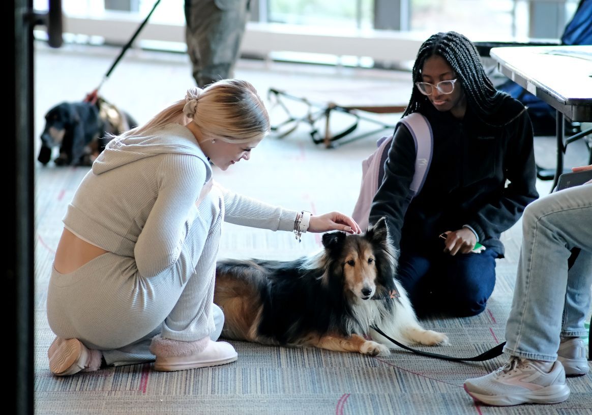 Around Campus - Therapy Dogs Back in Hammond Main Lounge