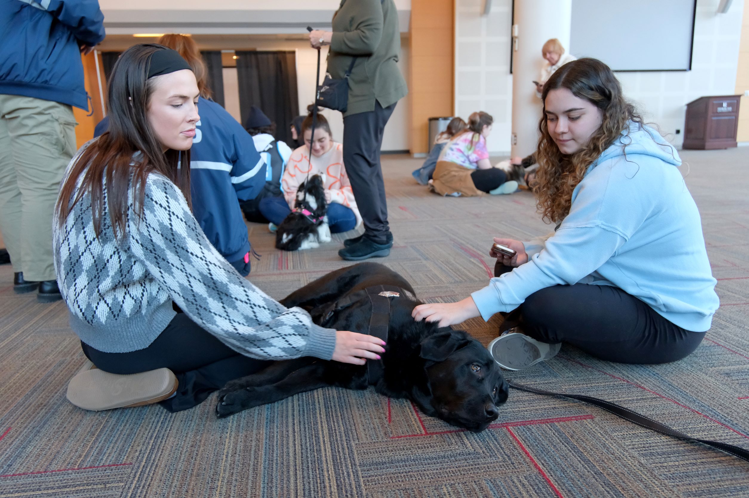 Around Campus - Therapy Dogs in Hammond Main Lounge