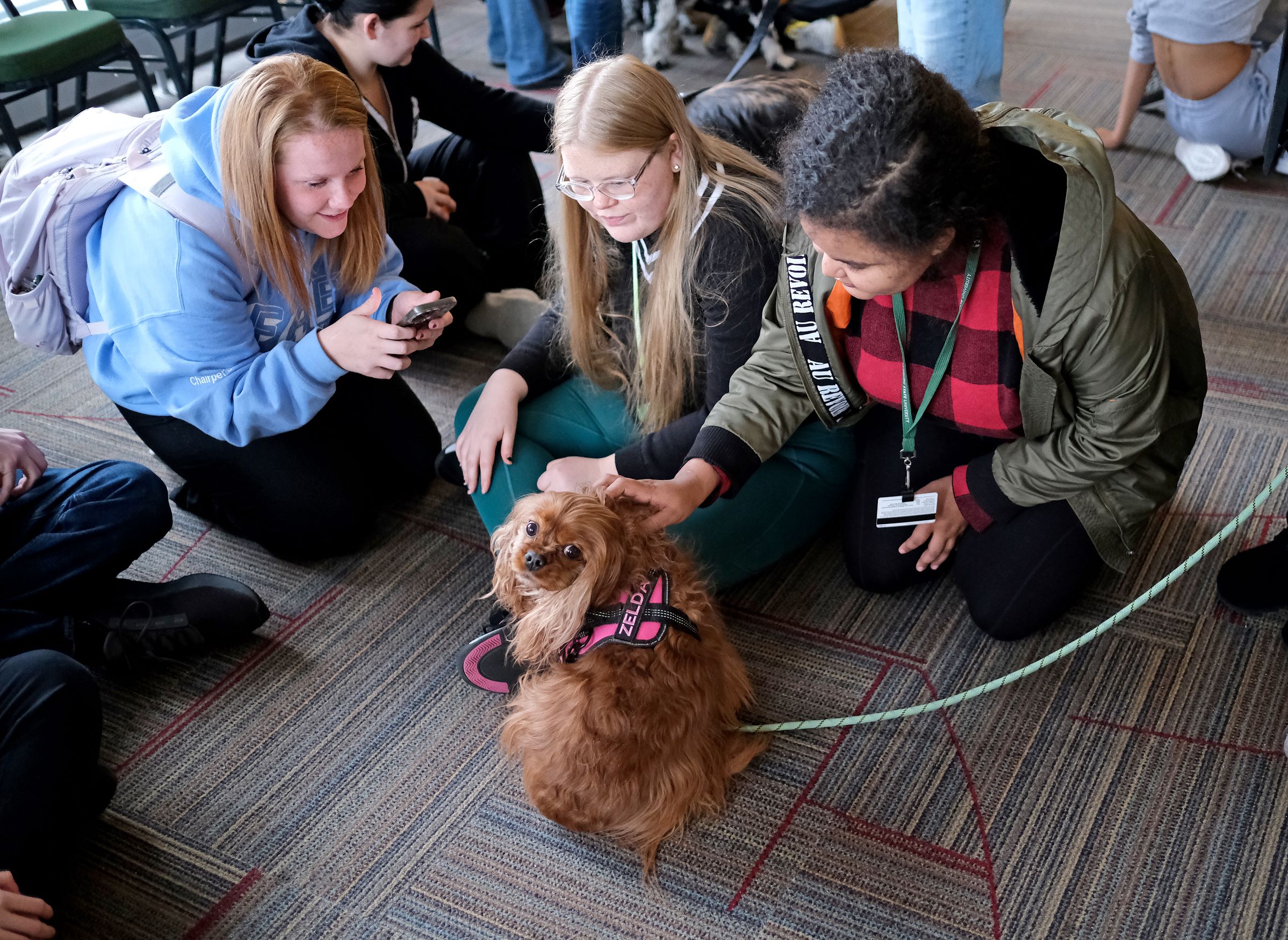 Around Campus - Therapy Dogs in Hammond