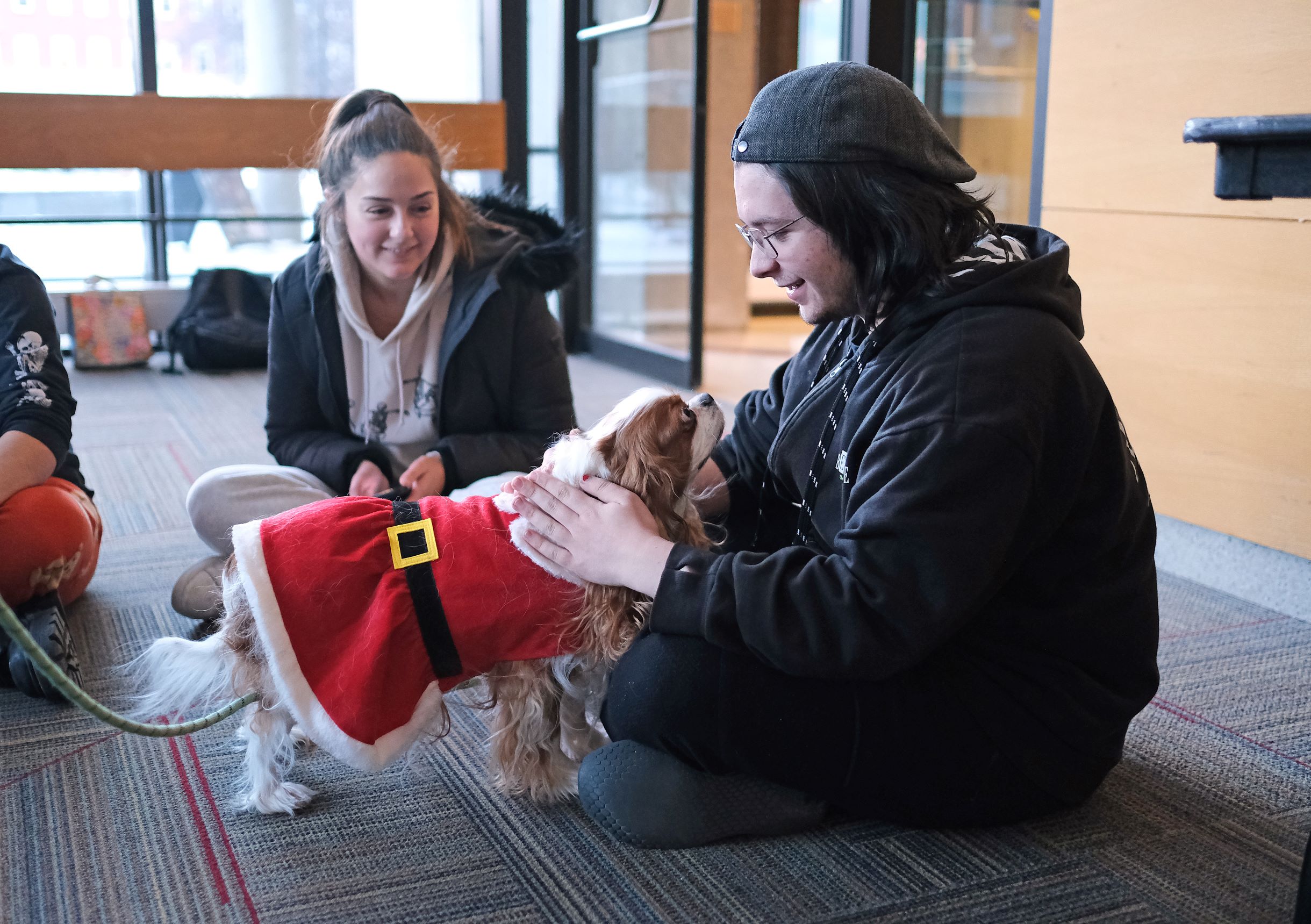 Finals Frenzy - Therapy Dogs